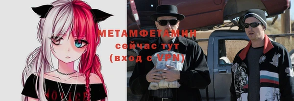 прущие грибы Богородицк