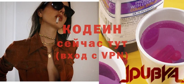 прущие грибы Богородицк