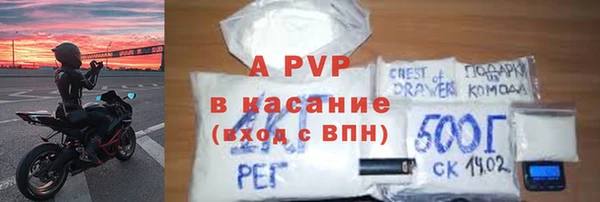 PSILOCYBIN Богданович