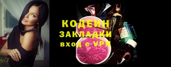 прущие грибы Богородицк