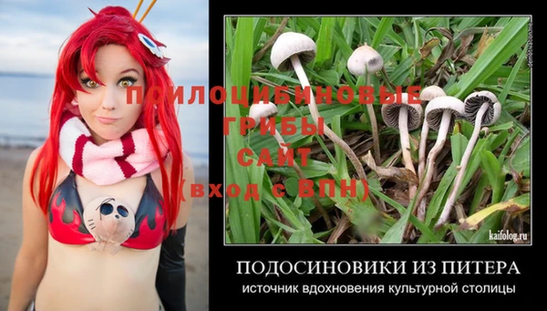 прущая мука Бородино
