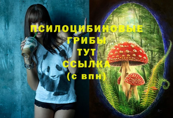 прущие грибы Богородицк