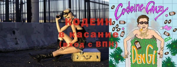 прущие грибы Богородицк