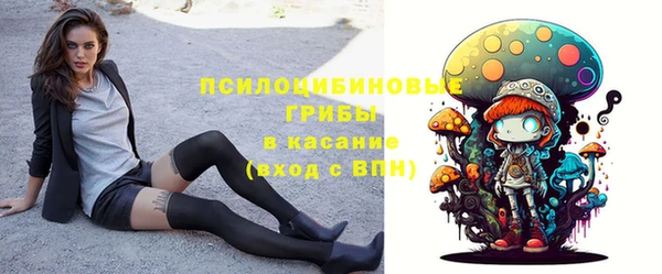 PSILOCYBIN Богданович