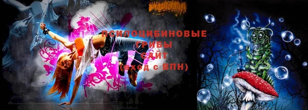 стаф Бронницы